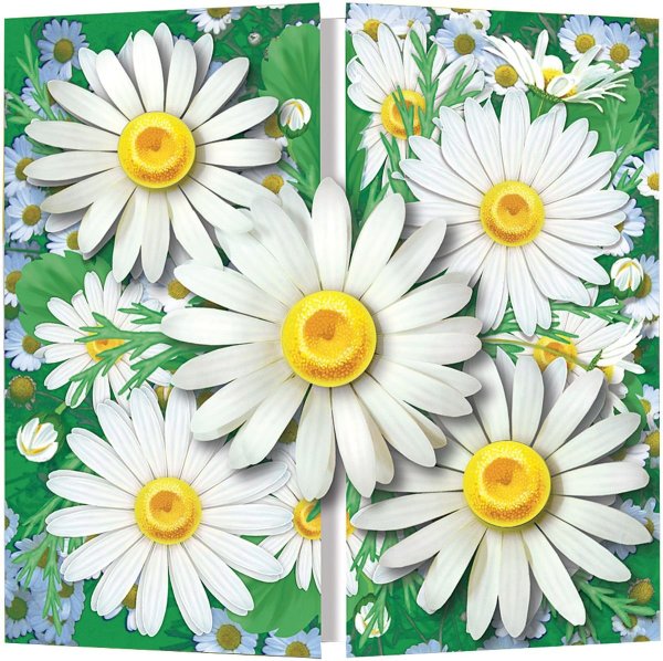 Объемные ромашки