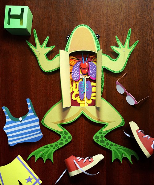 Оригинальные аппликации