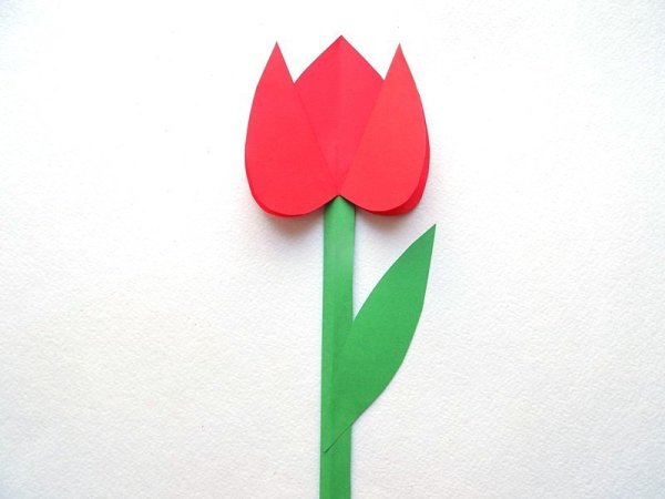 Тюльпаны из цветной бу