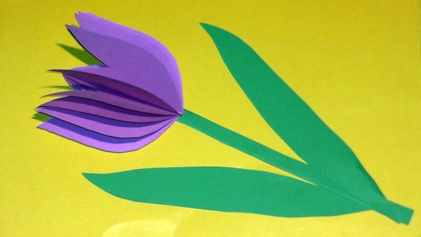 Тюльпаны из цветной бумаги
