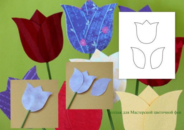 Аппликация тюльпаны из цветной бумаги