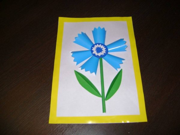 Аппликация полевые цветы в старшей