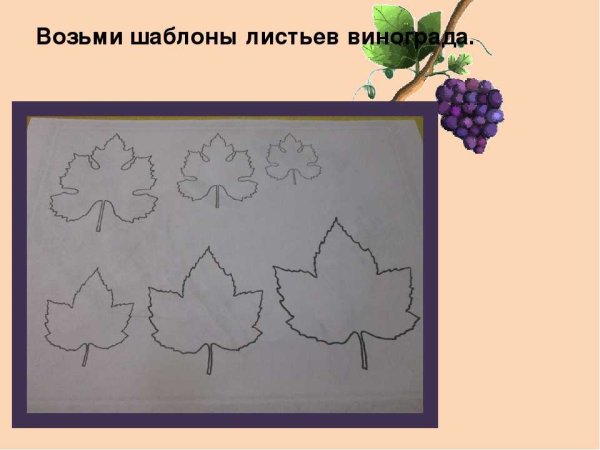 Аппликация виноград