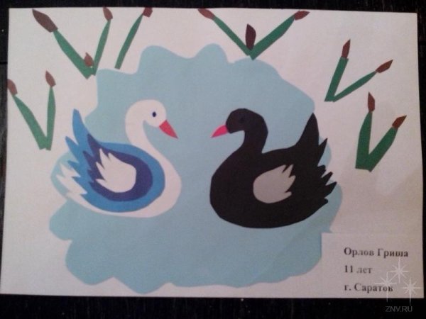 Аппликация лебеди на озере из бумаги