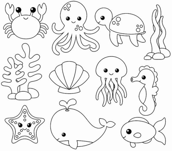Морские животные раскраски для детей