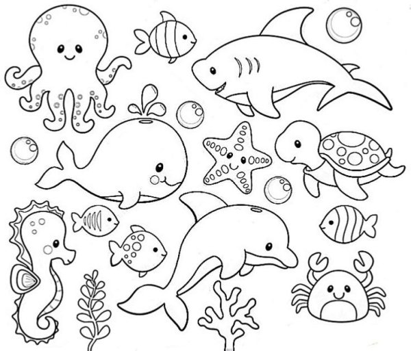 Морские обитатели раскраски для детей