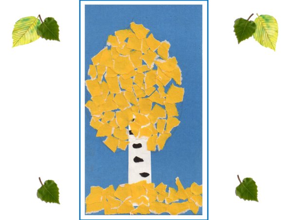 Обрывная аппликация береза старшая группа