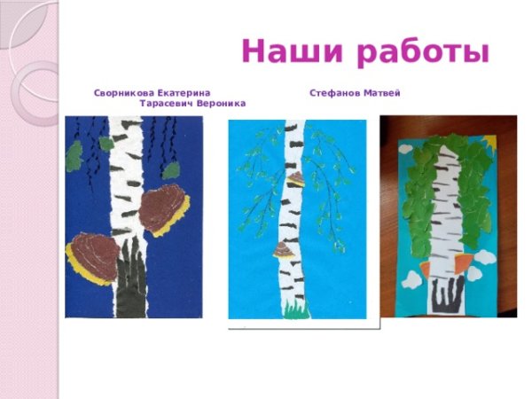 Берёзовая роща Обрывная аппликация