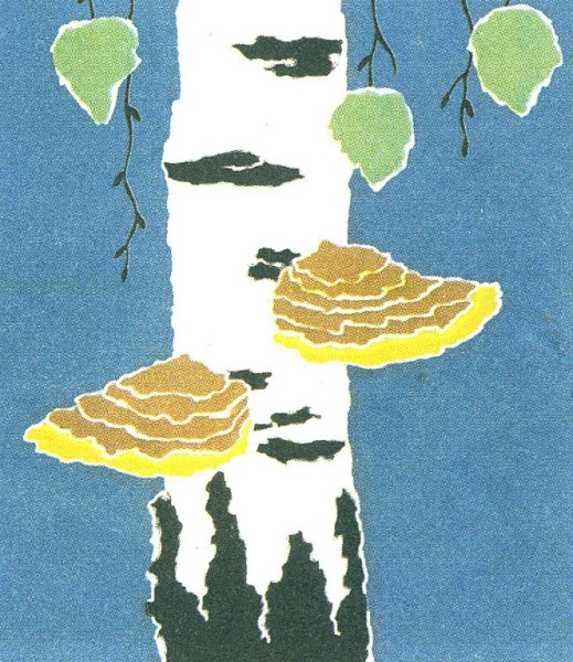 Рваная техника аппликация