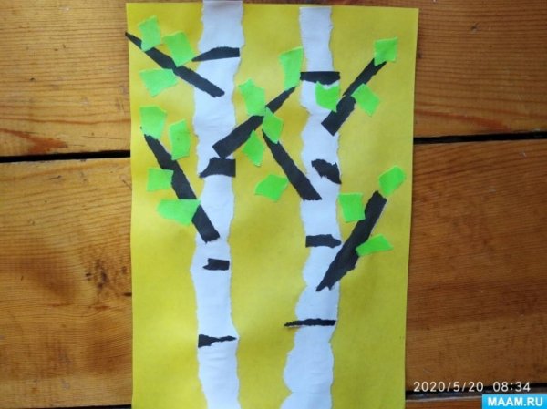 Берёзовая роща Обрывная аппликация