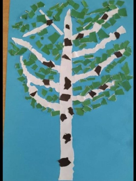 Обрывная аппликация береза средняя группа