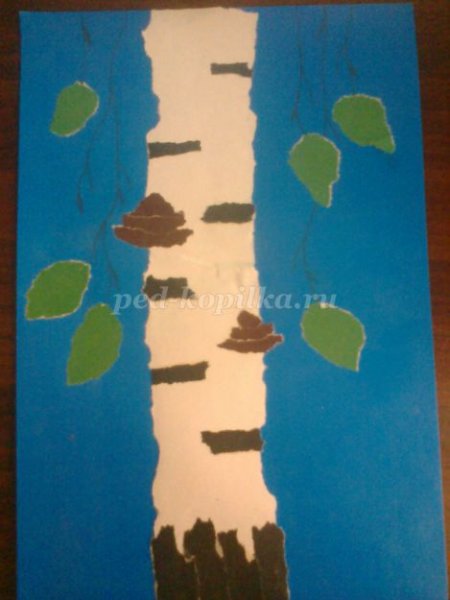 Аппликация из рваной бумаги берёза