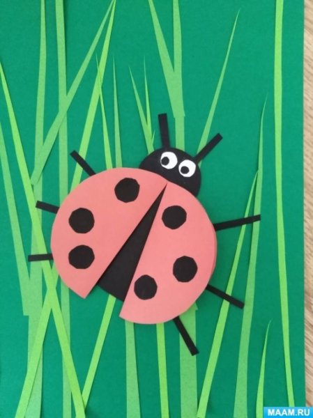 Аппликация Божья коровка в младшей группе