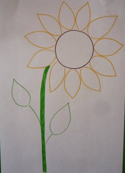 Рисование подсолнуха в средней группе