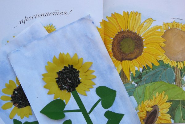 Подсолнух аппликация из бумаги