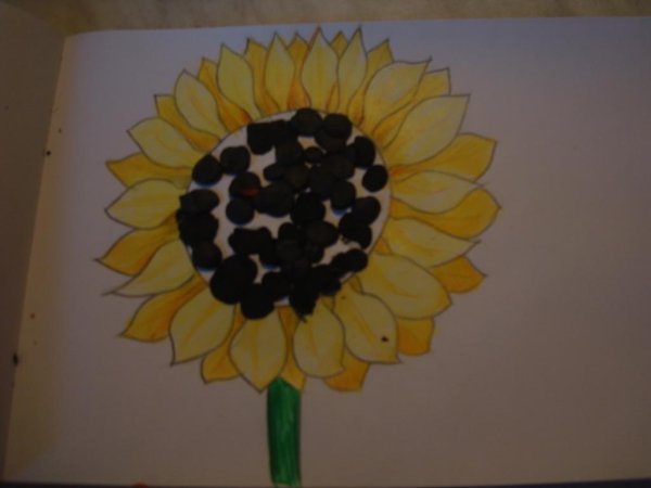 Поделки из семечек подсолнуха для детей