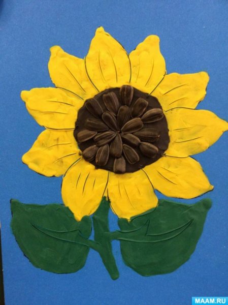 Пластилинография подсолнух средняя группа