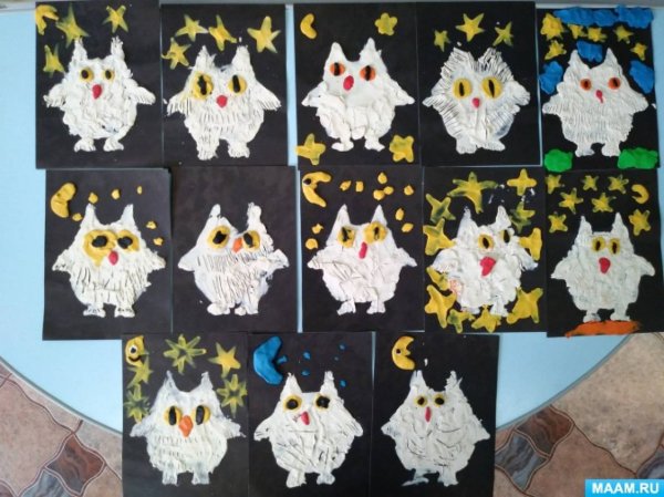 Аппликация Сова в средней группе