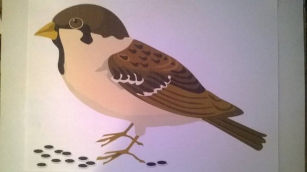 Воробей аппликация для детей