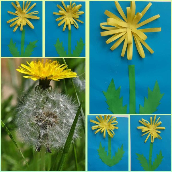 Аппликация одуванчик в старшей группе