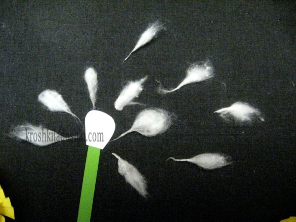 Аппликация одуванчик из ваты