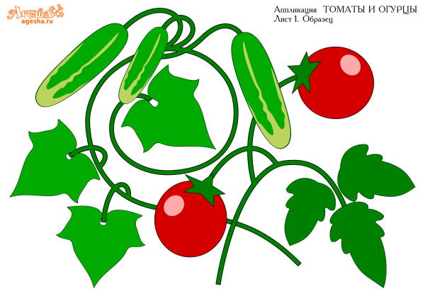 Овощи иллюстрация