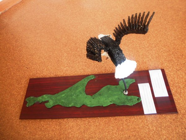 Орел из природного материала