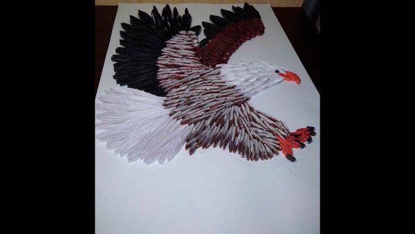 Орел аппликация