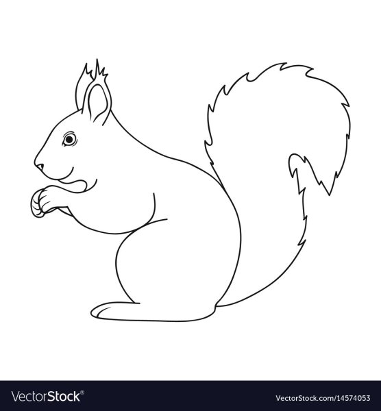 Белка с орешком раскраска