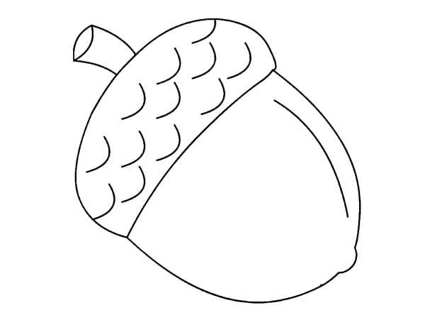 Орешки раскраска для детей