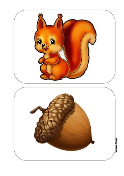 Счетный материал белочки