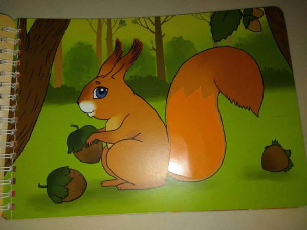 Аппликация Белочка