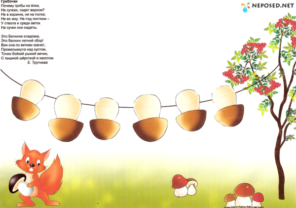 Занятие для малышей грибочки