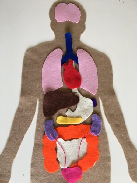 Аппликация человек