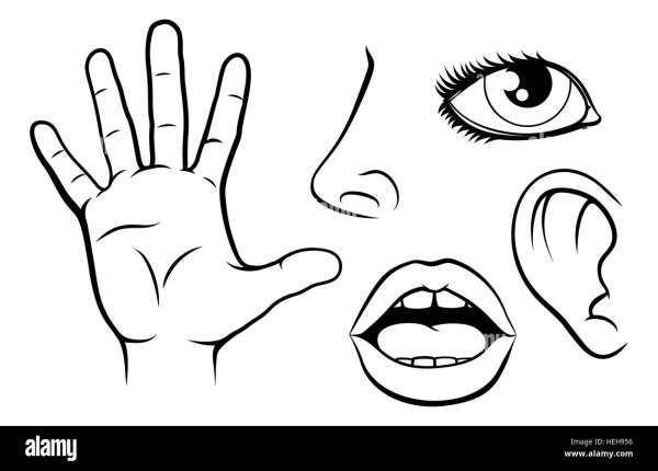 Уши, рот, глаза, руки,