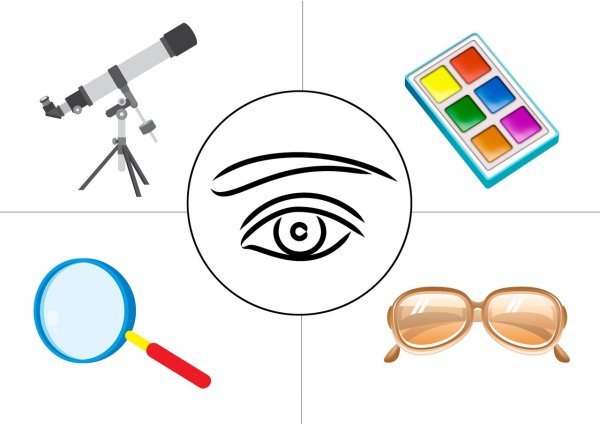 Карточки органы чувств для детей