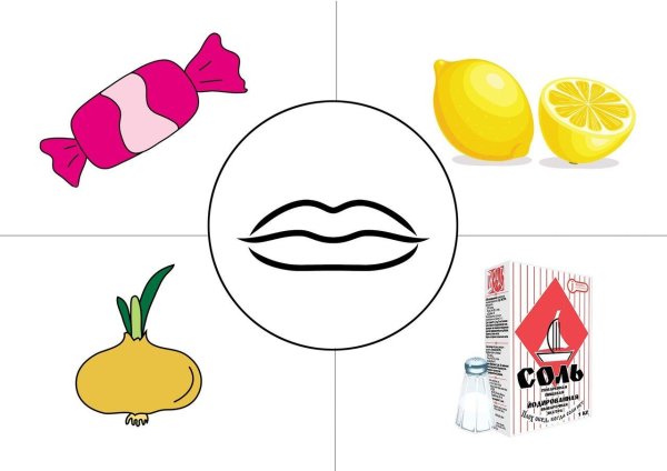 Дидактическая игра органы чувств