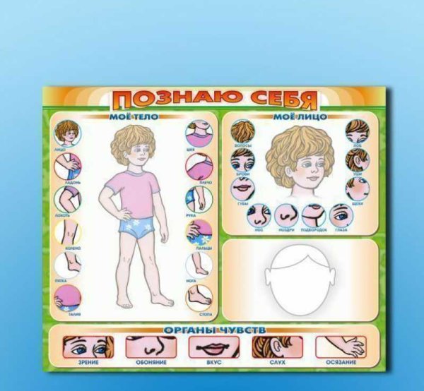 Пособие по валеологии для дошкольников