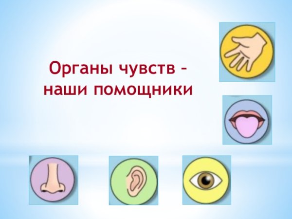 Наши помощники органы чувств