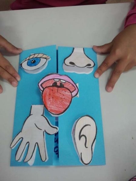 Поделки детские на тему тело человека