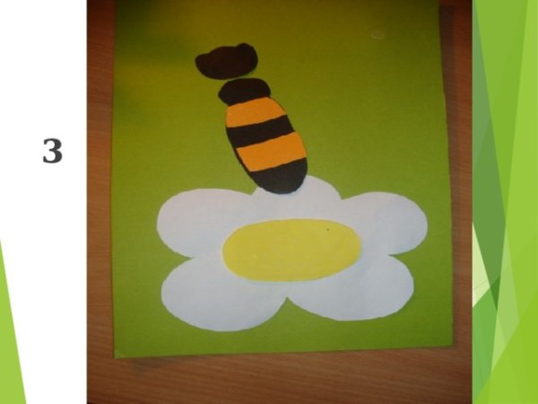 Аппликация пчела в средней группе