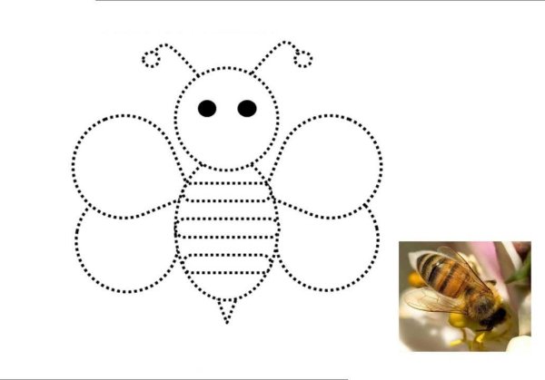 Аппликация пчела