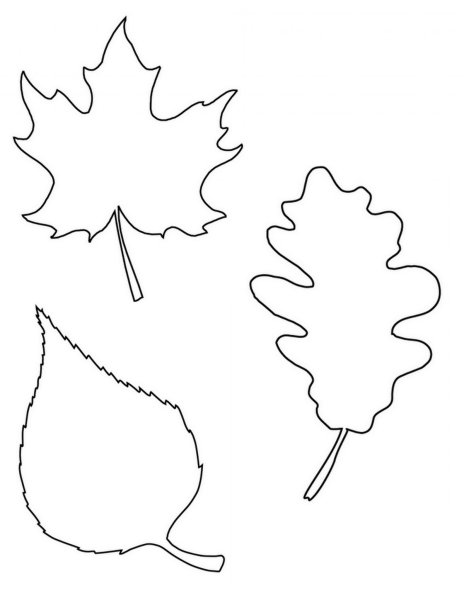 Осенние листья трафареты для вырезания