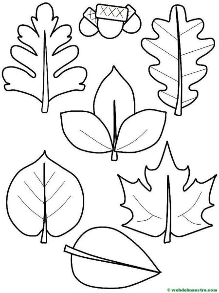 Листья трафарет для вырезания
