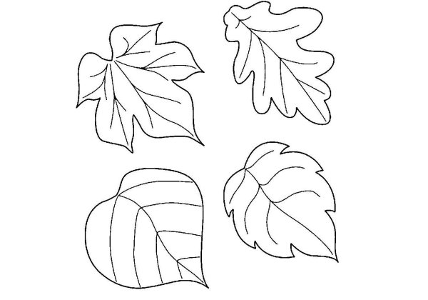 Листья шаблон для аппликации