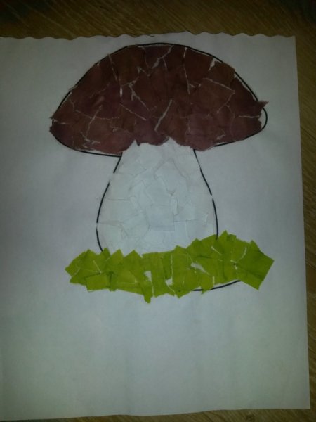 Обрывная мозаика гриб