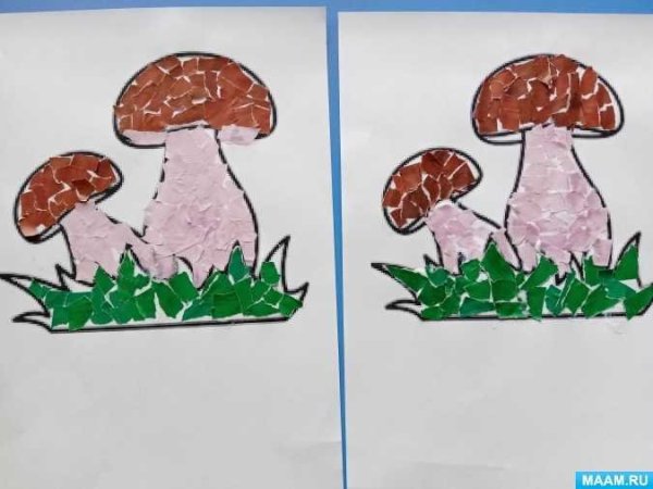 Обрывная аппликация гриб