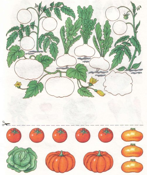 Задания на тему овощи для дошкольников