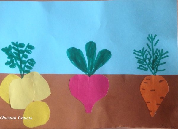 Аппликация овощи старшая группа