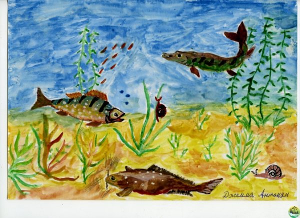 Рисование обитатели водоемов